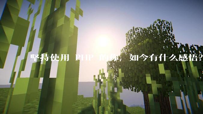 坚持使用 PHP 的你，如今有什么感悟？