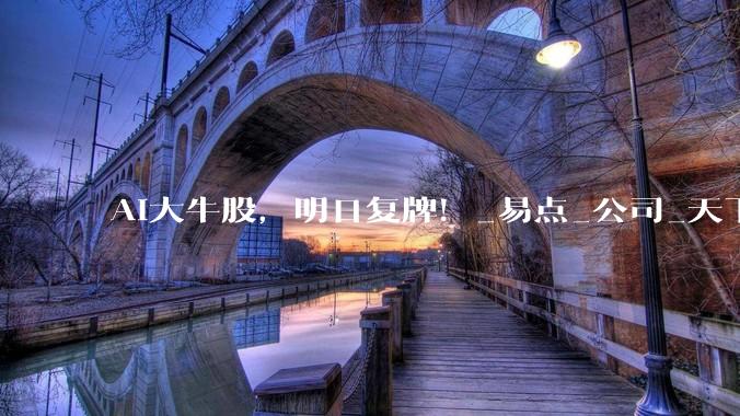AI大牛股，明日复牌！_易点_公司_天下
